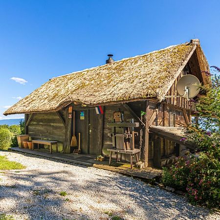 Vineyard Cottage Skatlar Otočec Εξωτερικό φωτογραφία