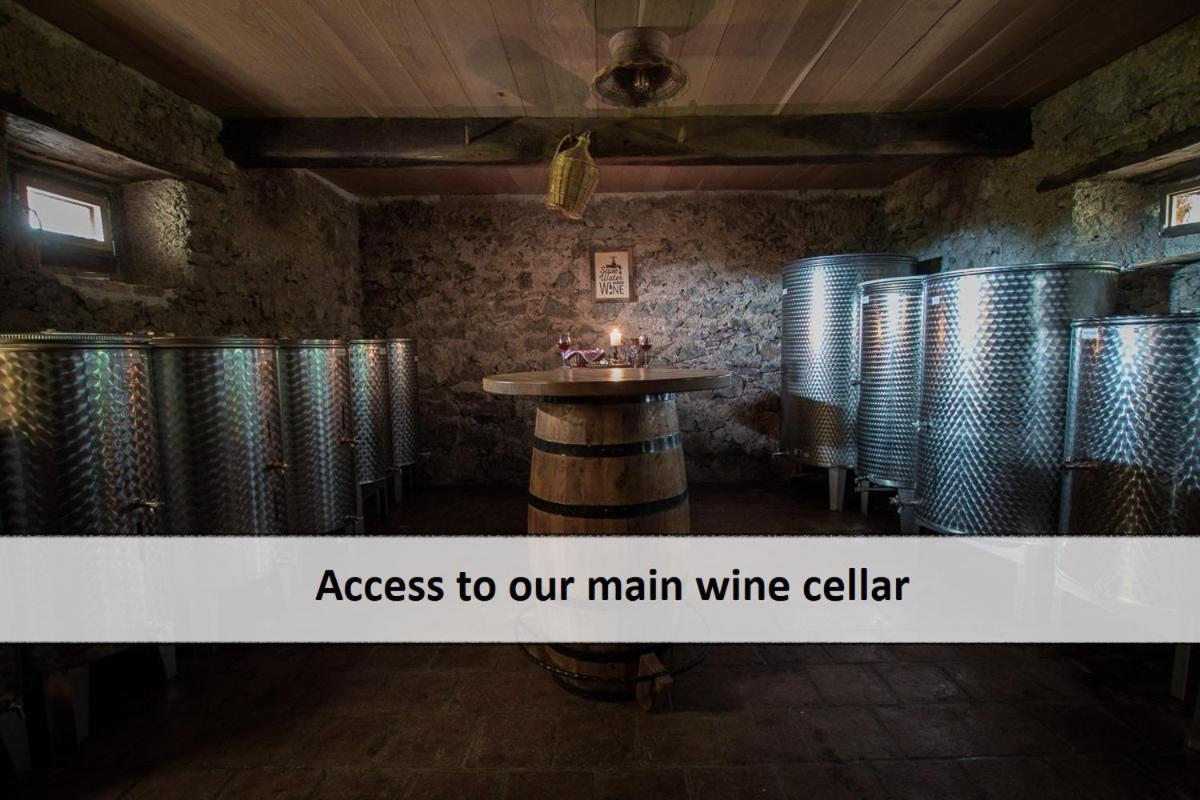 Vineyard Cottage Skatlar Otočec Εξωτερικό φωτογραφία